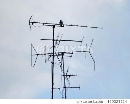 Architectural Structures And Solitary Bird Evoke Minimalism And Industrial Charm In Cloudy Atmosphere Architectural Structures And Solitary Bird Evoke Minimalism And Industrial Charm In Cloudy Atmosphere 139025514