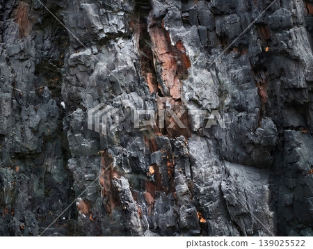 Burnt Wood Texture. Charred Tree Cover Displaying Rugged Layers And Resilient Natural Patterns 139025522
