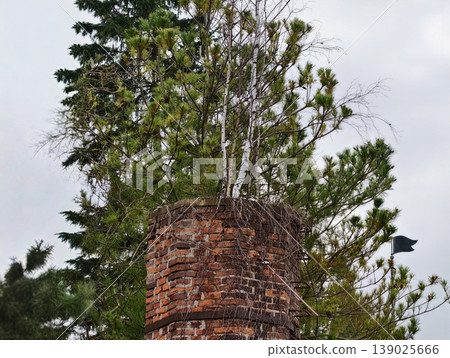 Weathered Brick Chimney Covered In Moss. Abandoned Farmhouse Chimney Surrounded By Young Shoots And Moss 139025666