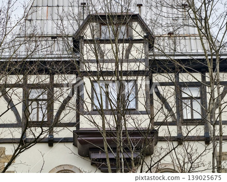 Exterior Showcasing Exposed Timber Framework Amidst Barren Trees And Subdued Winter Color Palette Exterior Showcasing Exposed Timber Framework Amidst Barren Trees And Subdued Winter Color Palette 139025675