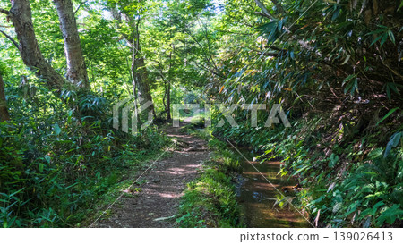 夏季攀登岩菅岳(岩菅岳登山起點至荒田澤) 夏季攀登岩菅岳(岩菅岳登山起點至荒田澤) 139026413