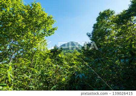 Summer hike up Mt. Iwasuge (Araitazawa to Nokkiri: View of the summit of Mt. Iwasuge) 139026415