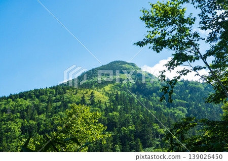 夏季攀登岩菅岳（荒田澤至野切：岩菅嶽山頂峰景色） 139026450