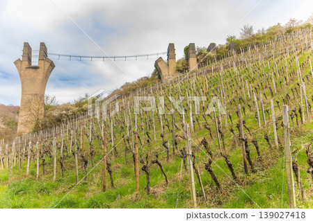 Vineyard landscape with abandoned concrete bridge pillars on hillside in spring countryside Vineyard landscape with abandoned concrete bridge pillars on hillside in spring countryside 139027418
