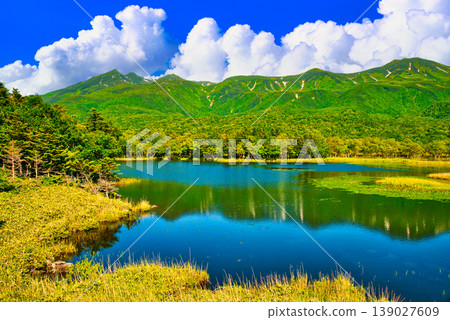 世界遺產知床五戶與知床連峰的夏日風光 139027609