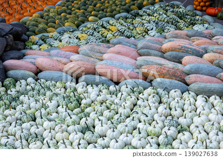 Assorted pumpkins market display colorful harvest variety autumn seasonal food abundance concept Assorted pumpkins market display colorful harvest variety autumn seasonal food abundance concept 139027638