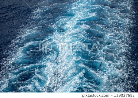Turquoise Ocean Wake Texture With Seabird Over Deep Blue Water Surface Background 139027692