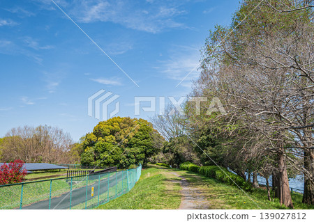 草津市新綠森林矢橋木保島 139027812