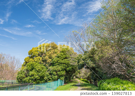 草津市新綠森林矢橋木保島 139027813