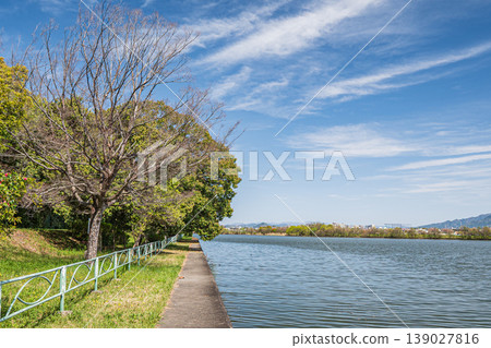 Yabashi Kihojima Island, a forest of fresh greenery, Kusatsu City 139027816