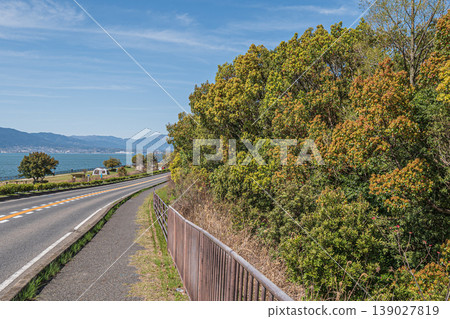 草津市新綠森林矢橋木保島 草津市新綠森林矢橋木保島 139027819