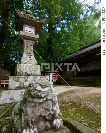 Shrine lanterns and guardian lion-dogs Shrine lanterns and guardian lion-dogs 139028023