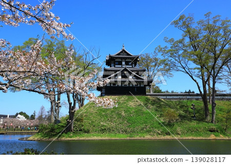 Takada Castle Ruins Park: Cherry blossoms in full bloom Takada Castle Ruins Park: Cherry blossoms in full bloom 139028117