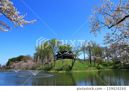 Takada Castle Ruins Park: Cherry blossoms in full bloom Takada Castle Ruins Park: Cherry blossoms in full bloom 139028268