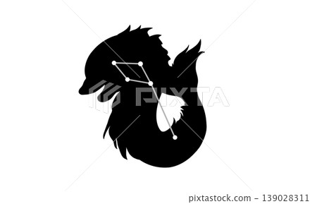 海豚座的輪廓圖（海豚的輪廓和星座線條） 139028311