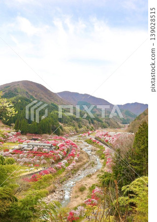從山上拍攝的桃花村。 從山上拍攝的桃花村。 139028515