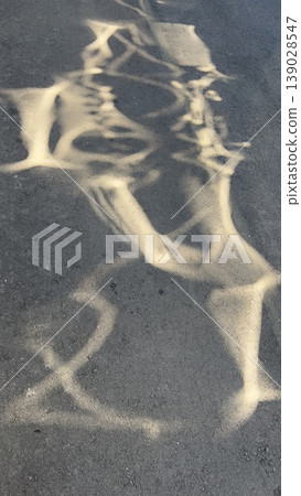 The light is so beautiful it's almost artistic. The light is so beautiful it's almost artistic. 139028547