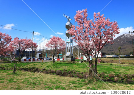路邊車站荒井:櫻花盛開。 路邊車站荒井:櫻花盛開。 139028612