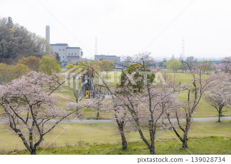 利府町的森林鶴沼公園和春季櫻花盛開 利府町的森林鶴沼公園和春季櫻花盛開 139028734