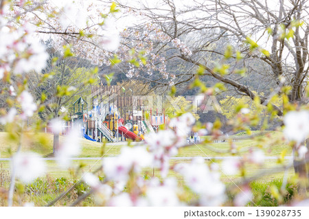 利府町的森林鶴沼公園和春季櫻花盛開 利府町的森林鶴沼公園和春季櫻花盛開 139028735