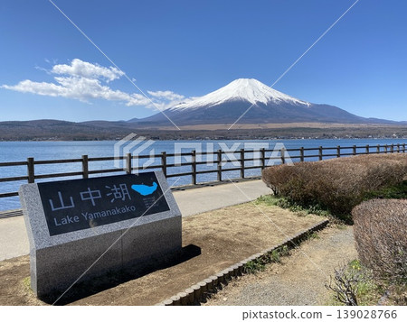 Mount Fuji in spring, viewed from Lake Yamanaka Mount Fuji in spring, viewed from Lake Yamanaka 139028766