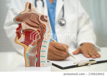 Asian doctor with nasal oral throat cavity neck human anatomy model for study diagnosis and treatment in hospital. 139028842