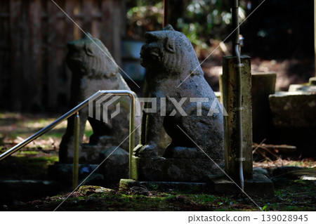 Komainu (guardian lion-dogs) at Okita Shrine in Ichinoseki City, Iwate Prefecture Komainu (guardian lion-dogs) at Okita Shrine in Ichinoseki City, Iwate Prefecture 139028945