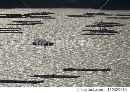 The sparkling sea and ships, oyster farming The sparkling sea and ships, oyster farming 139029084