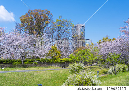 藤田住宅的櫻花破壞公園 139029115