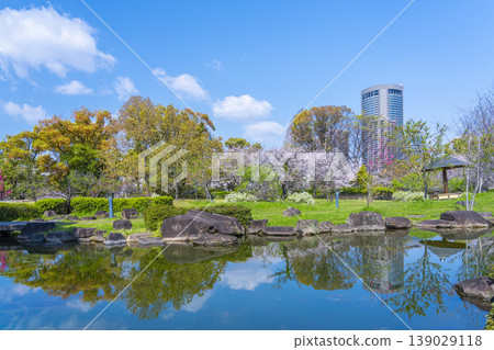 Cherry blossoms of Fujita residence ruins park 139029118