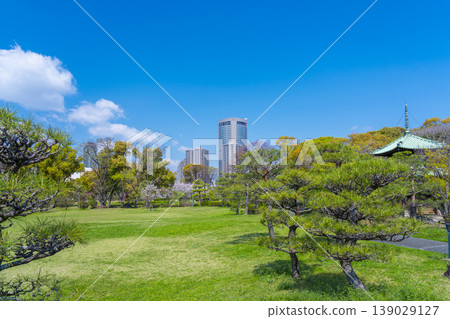 藤田住宅的櫻花破壞公園 藤田住宅的櫻花破壞公園 139029127
