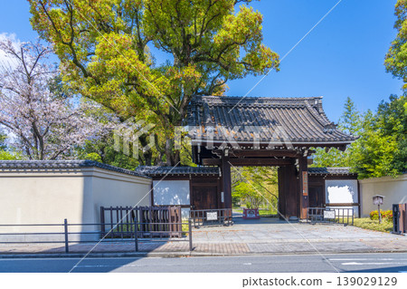 藤田宅邸遺址公園:原藤田宅邸大門及櫻花 藤田宅邸遺址公園:原藤田宅邸大門及櫻花 139029129