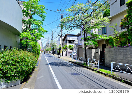 駒場東大前站附近安靜的高級住宅區,兩旁種滿了盛開的山茱萸樹。 駒場東大前站附近安靜的高級住宅區,兩旁種滿了盛開的山茱萸樹。 139029179