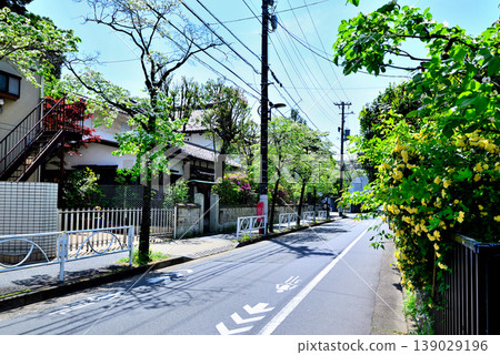 A quiet, upscale residential area around Komaba-Todaimae Station, lined with dogwood trees in bloom. 139029196