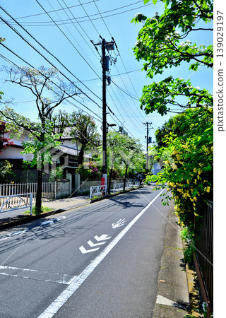 A quiet, upscale residential area around Komaba-Todaimae Station, lined with dogwood trees in bloom. 139029197