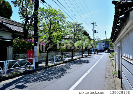 A quiet, upscale residential area around Komaba-Todaimae Station, lined with dogwood trees in bloom. 139029198