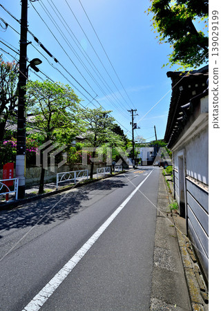 A quiet, upscale residential area around Komaba-Todaimae Station, lined with dogwood trees in bloom. 139029199