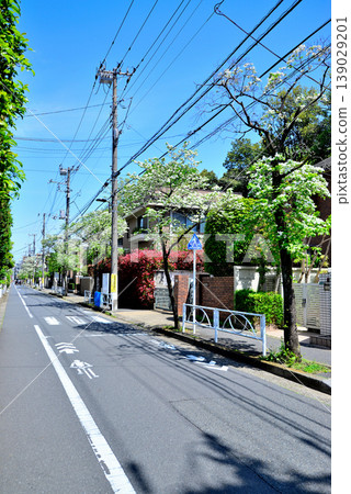 A quiet, upscale residential area around Komaba-Todaimae Station, lined with dogwood trees in bloom. 139029201