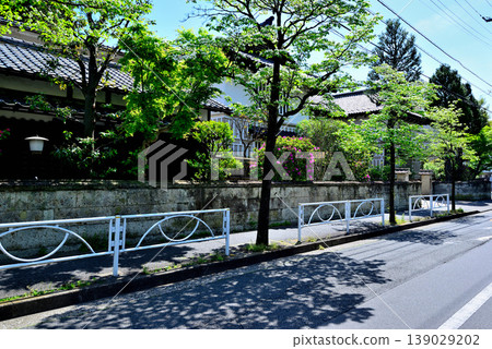 A quiet, upscale residential area around Komaba-Todaimae Station, lined with dogwood trees in bloom. 139029202