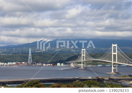 室蘭港和白鳥大橋（北海道室蘭市） 139029233