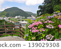 Hydrangeas in Shimoda, Izu 139029308