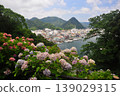Hydrangeas in Shimoda, Izu 139029315