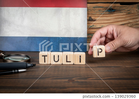 Tulip in the Netherlands Spelled With Wooden Letter Blocks Tulip in the Netherlands Spelled With Wooden Letter Blocks 139029360