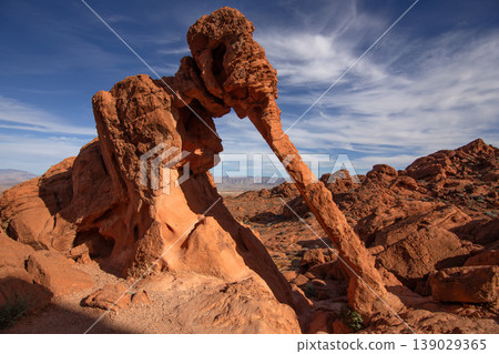 Elephant Rock in Valley of Fire State Park 139029365