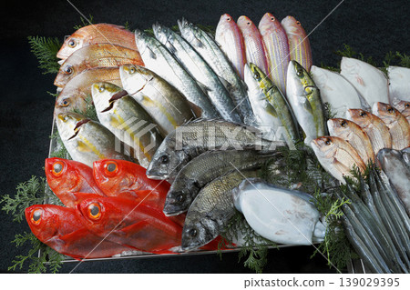 A variety of fresh fish, including splendid alfonsino and halfbeak, all from the Seto Inland Sea. A variety of fresh fish, including splendid alfonsino and halfbeak, all from the Seto Inland Sea. 139029395