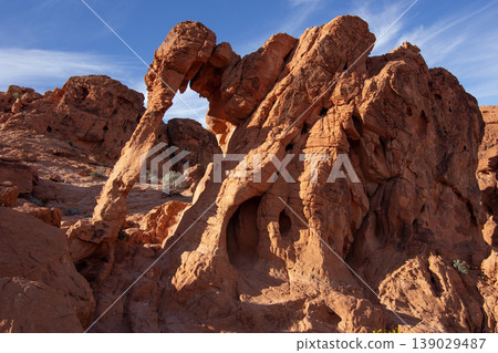 Elephant Rock in Valley of Fire State Park 139029487