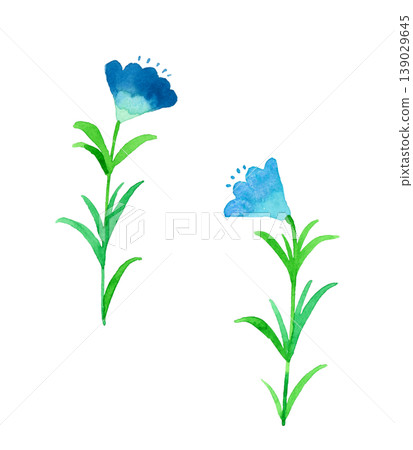 一組時尚的藍色花朵：手繪水彩植物插圖。 139029645