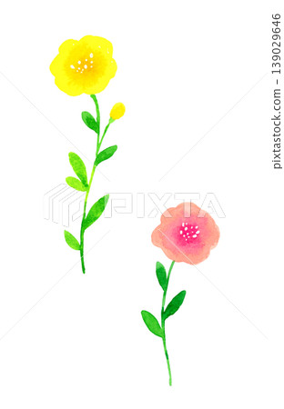 時尚的粉紅色和黃色花朵——手繪水彩植物插圖。 時尚的粉紅色和黃色花朵——手繪水彩植物插圖。 139029646