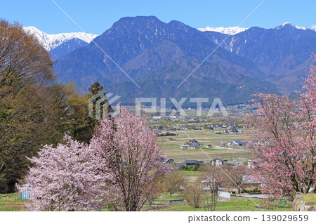 Spring Azumino and Northern Alps Spring Azumino and Northern Alps 139029659
