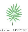 Green tropical palm leaf isolated on white background, minimalist botanical branch for summer vacation design and organic product branding 139029825